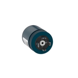 npt-5_papa