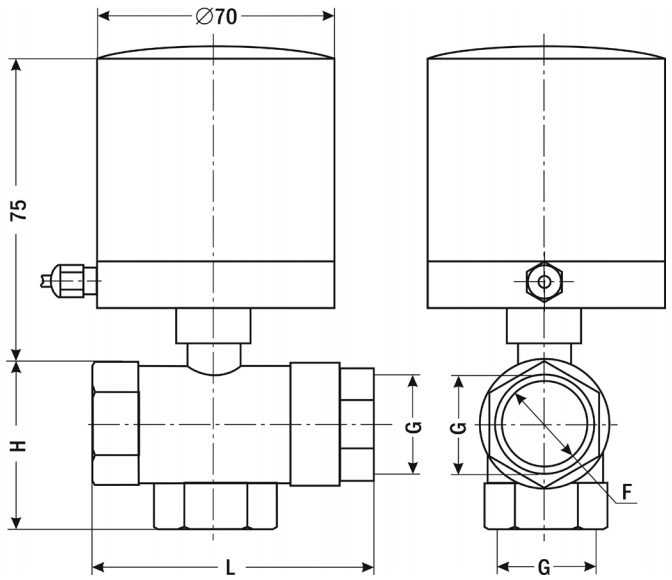 gh1002