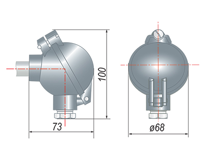 golova 137 c 1