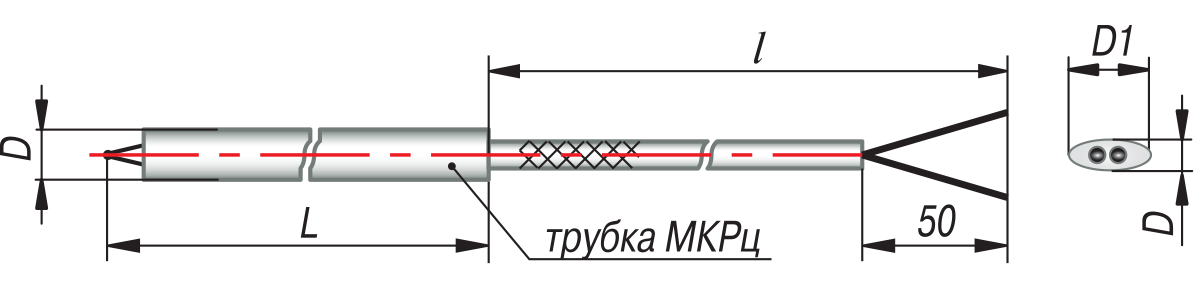 tp 031