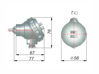 dtp m ct