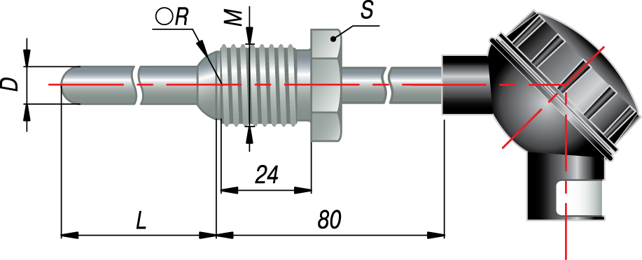 dtp 205