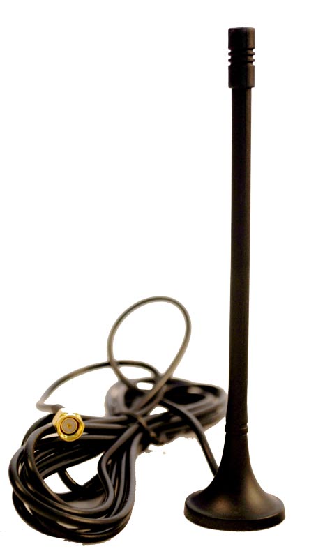 ant2