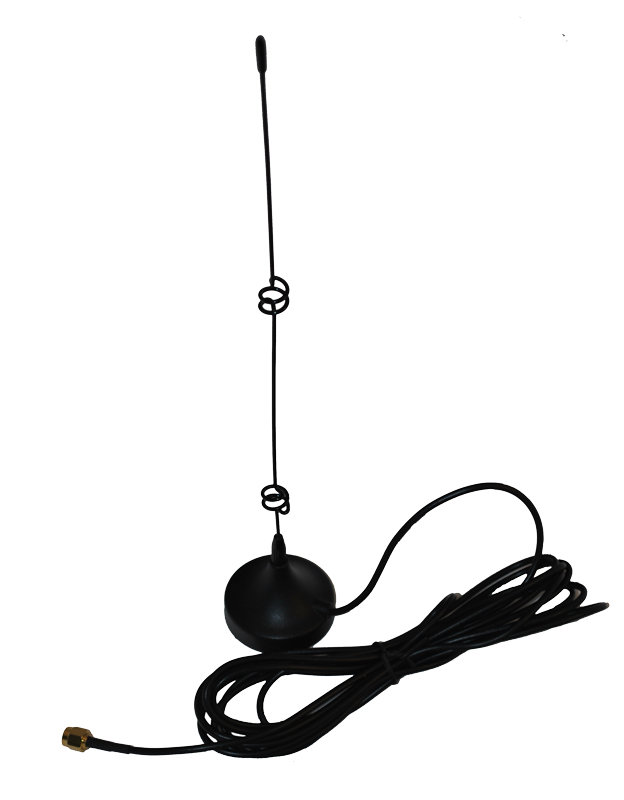 ant5